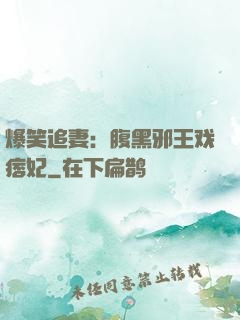 爆笑追妻：腹黑邪王戏痞妃