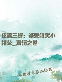 狂妻三嫁：误惹腹黑小相公