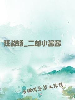 狂战婿