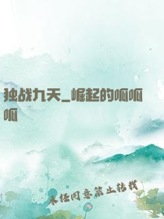 独战九天