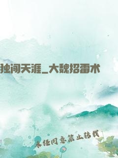 独闯天涯