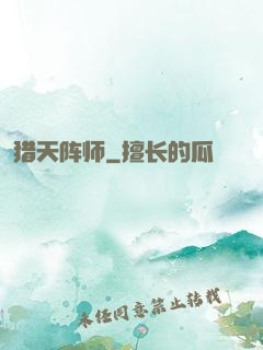猎天阵师