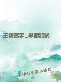 王牌高手