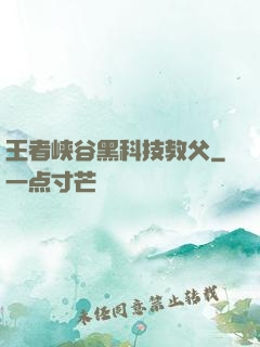王者峡谷黑科技教父