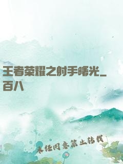 王者荣耀之射手曙光
