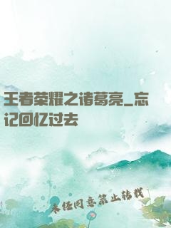 王者荣耀之诸葛亮