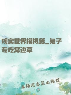 现实世界模拟器