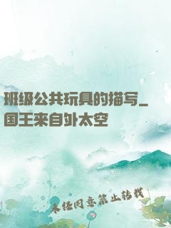 班级公共玩具的描写