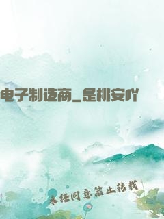 电子制造商