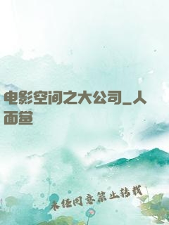 电影空间之大公司