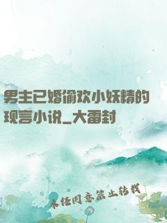 男主已婚偷欢小妖精的现言小说