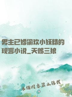 男主已婚偷欢小妖精的现言小说