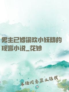 男主已婚偷欢小妖精的现言小说