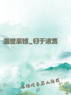 盖世豪婿