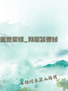 盖世豪婿