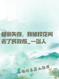 相亲失败，我被校花叫去了民政局