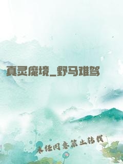 真灵魔境