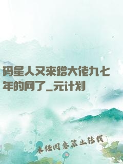 码星人又来蹭大佬九七年的网了