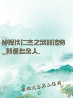 神探狄仁杰之武朝传奇