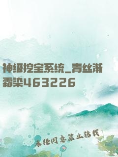 神级挖宝系统