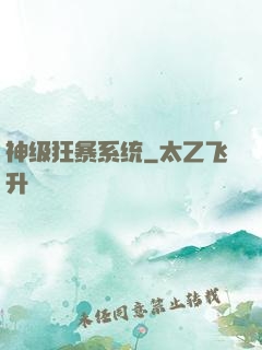 神级狂暴系统