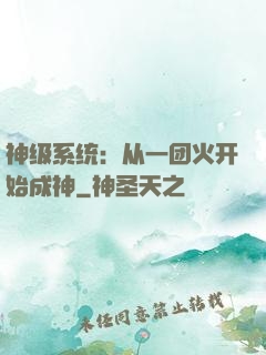 神级系统：从一团火开始成神
