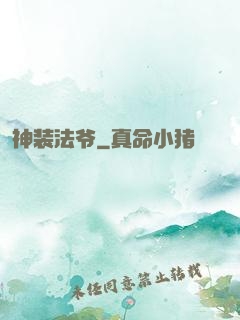 神装法爷