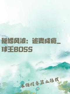 秘婚风波：追妻成瘾