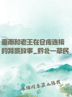 秦雨和老王在仓库连接的背景故事