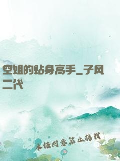 空姐的贴身高手