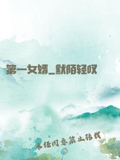 第一女婿