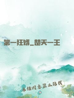 第一狂婿