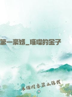 第一豪婿