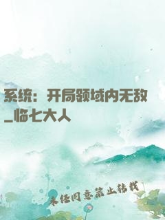 系统：开局领域内无敌