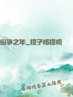 纷争之年