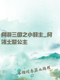 网游三国之小领主