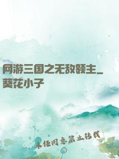 网游三国之无敌领主