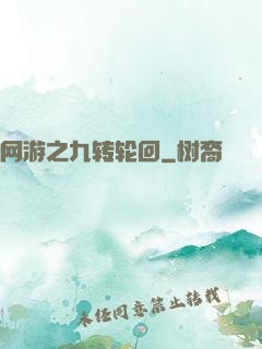 网游之九转轮回