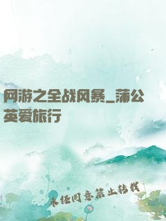 网游之全战风暴