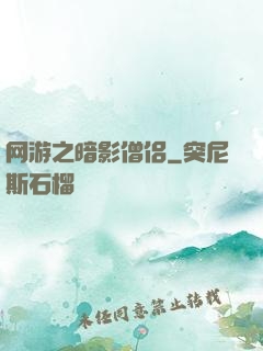 网游之暗影僧侣
