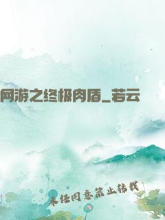 网游之终极肉盾