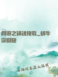 网游之镇魂挽歌