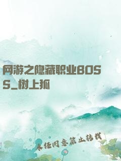 网游之隐藏职业BOSS