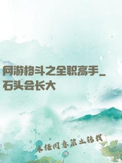 网游格斗之全职高手
