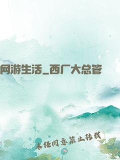 网游生活