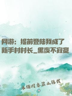 网游：提前登陆我成了新手村村长