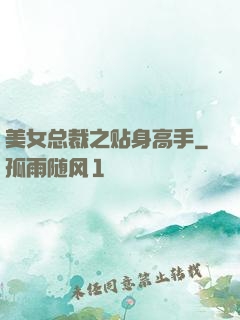 美女总裁之贴身高手