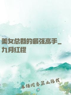 美女总裁的最强高手