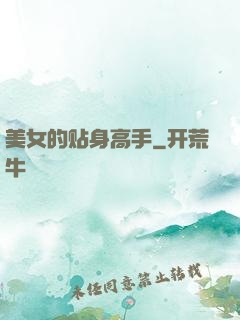 美女的贴身高手