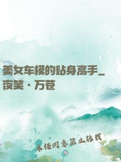 美女车模的贴身高手